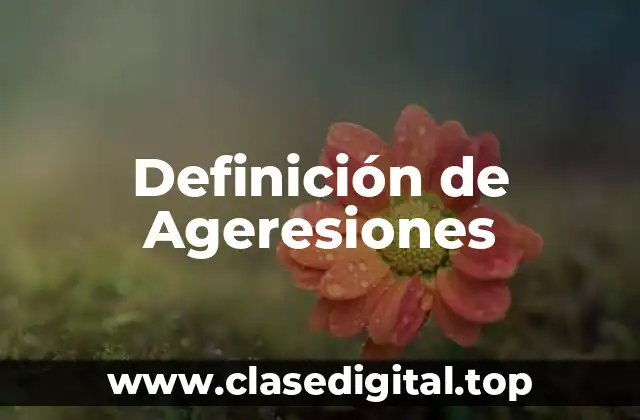 Definición de Ageresiones