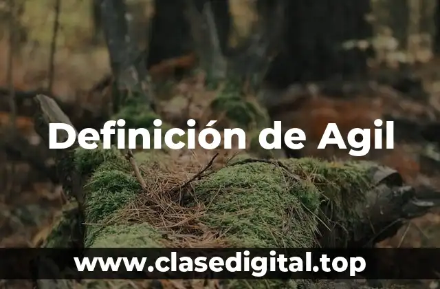 Definición de Agil