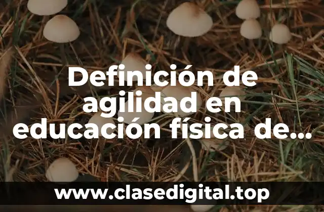 Definición de agilidad en educación física de preescolar