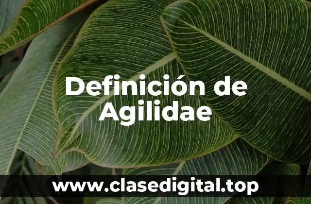 Definición de Agilidae