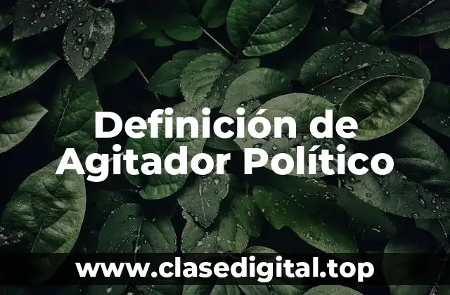 Definición de Agitador Político