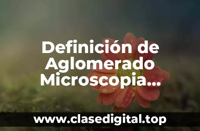 Definición técnica de Aglomerado Microscopia Electrónica de Transmisión