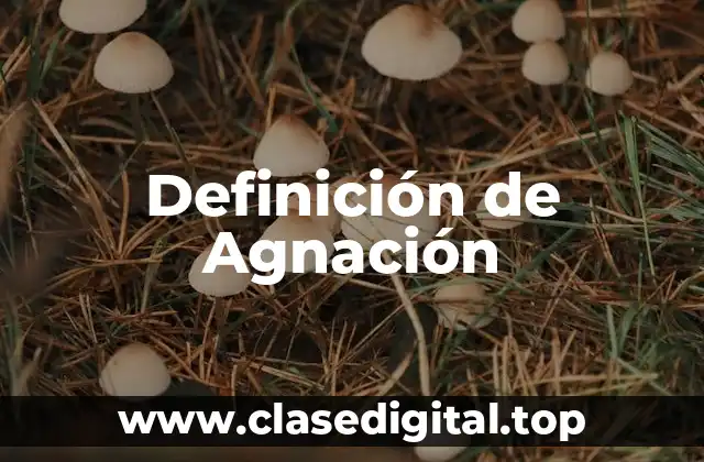 Definición técnica de Agnación