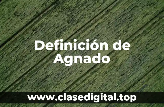 Definición de Agnado