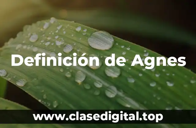 Definición técnica de Agnes