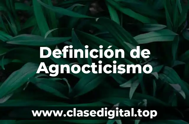 Definición de Agnocticismo