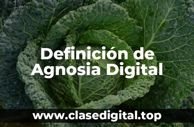 Definición de Agnosia Digital