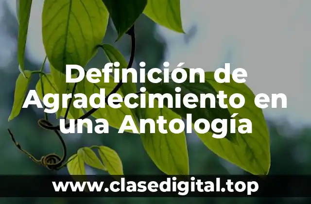 Definición de Agradecimiento en una Antología