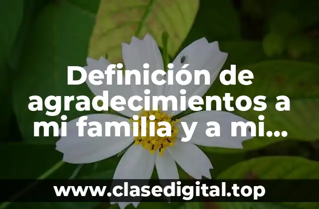 Definición de agradecimientos a mi familia y a mi madre