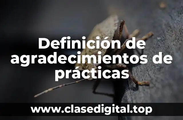 Definición de agradecimientos de prácticas