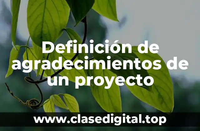 Definición de agradecimientos de un proyecto
