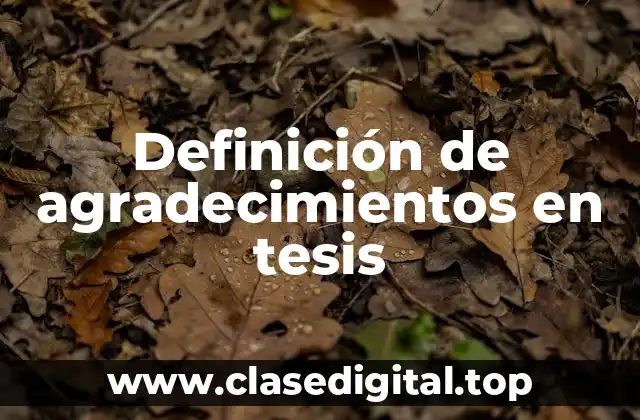 Definición de agradecimientos en tesis