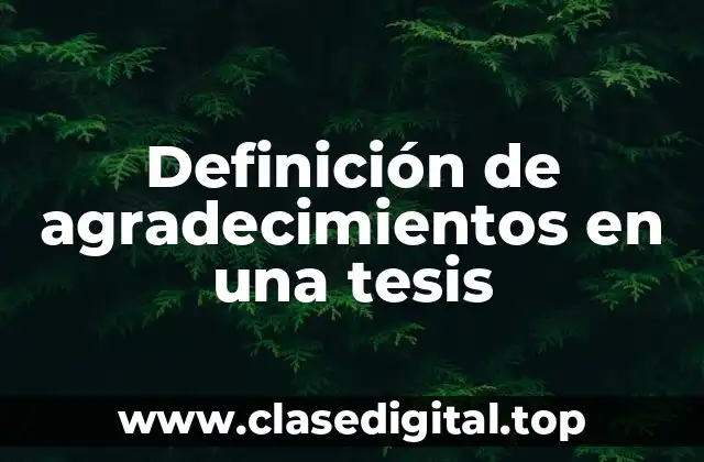 Definición técnica de agradecimientos en una tesis