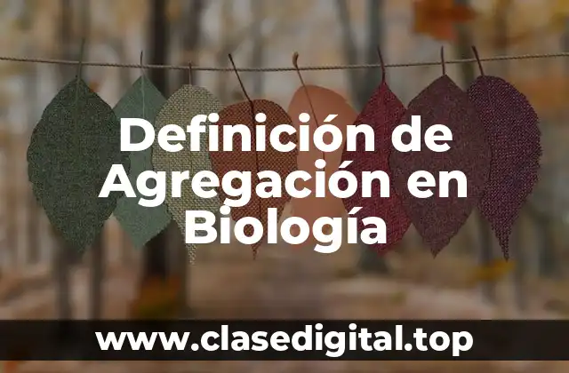 Definición de Agregación en Biología