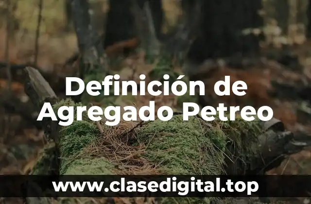 Definición de Agregado Petreo