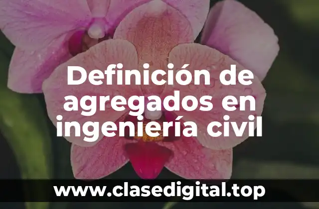 Definición técnica de agregado