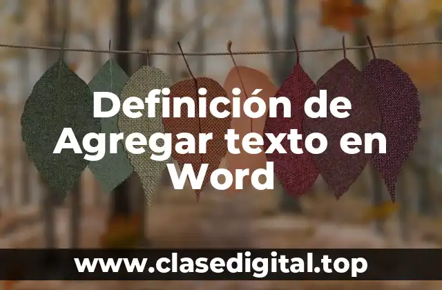 Definición de Agregar texto en Word