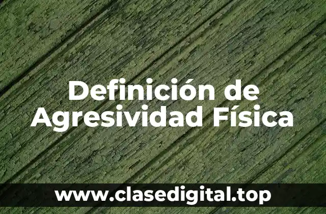 Definición de Agresividad Física