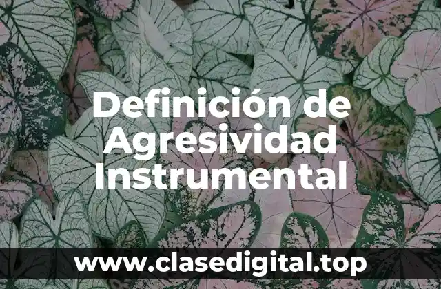 Definición de Agresividad Instrumental