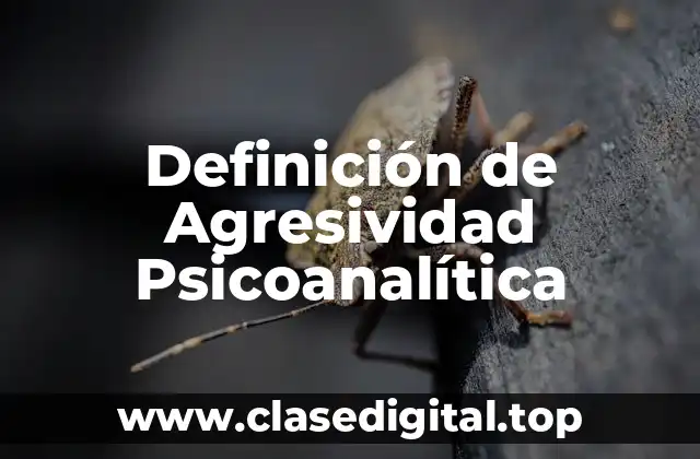 Definición de Agresividad Psicoanalítica