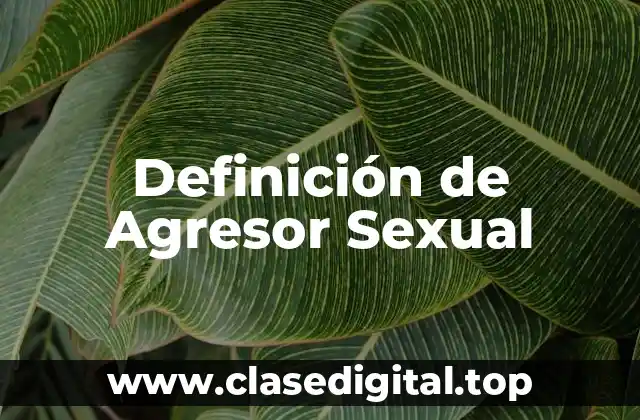 Definición de Agresor Sexual
