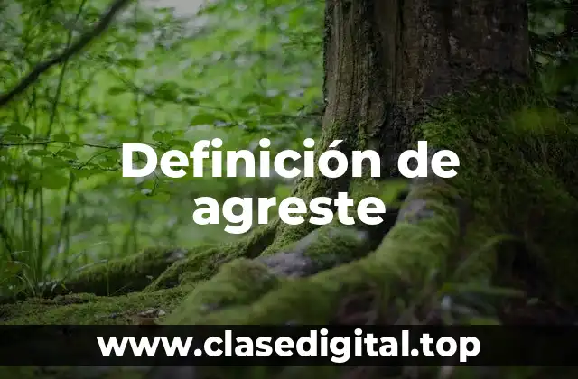 Definición de agreste