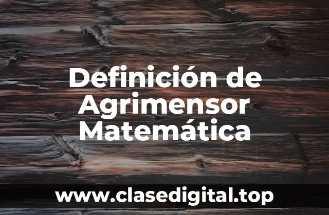Definición de Agrimensor Matemática