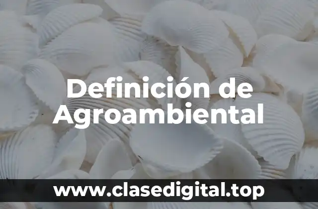 Definición de Agroambiental