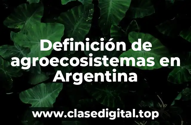 Definición de agroecosistemas en Argentina
