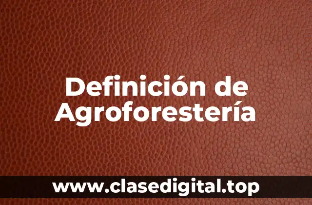 Definición de Agroforestería