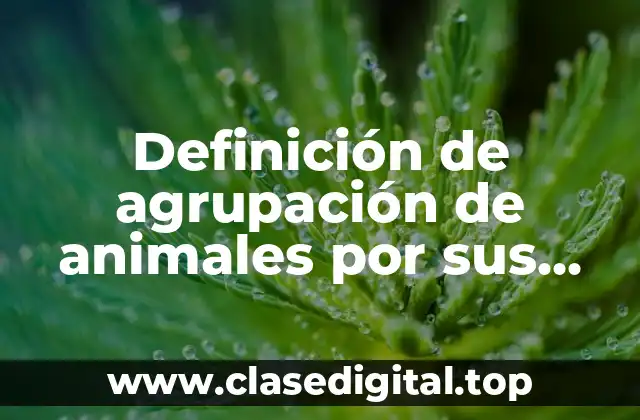 Definición de agrupación de animales por sus características