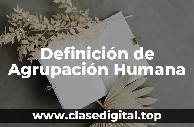 Definición de Agrupación Humana