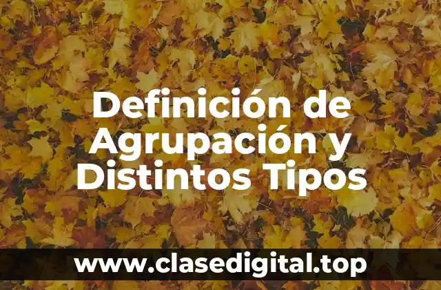 Definición de Agrupación y Distintos Tipos