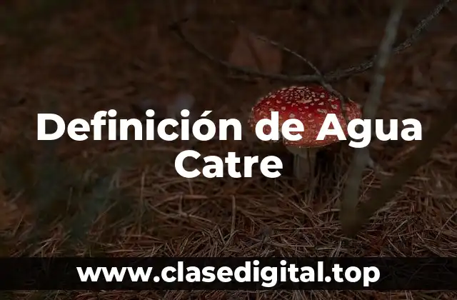 Definición de Agua Catre