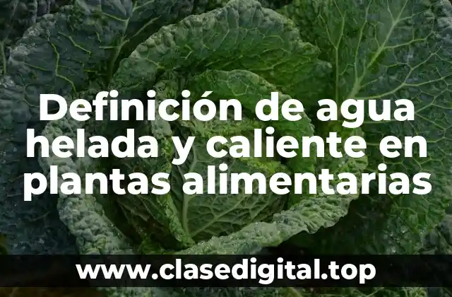 Definición de agua helada y caliente en plantas alimentarias
