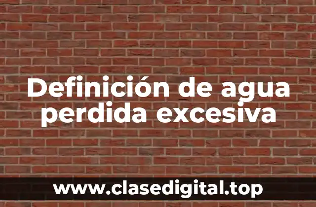 Definición de agua perdida excesiva