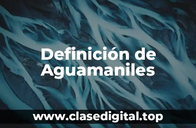 Definición de Aguamaniles