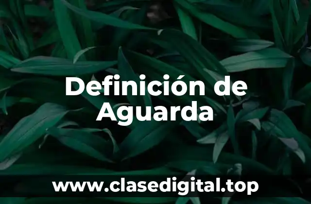 Definición técnica de Aguarda