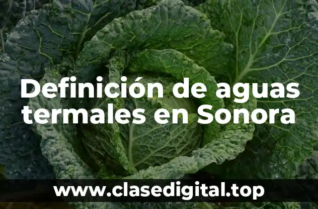 Definición de aguas termales en Sonora