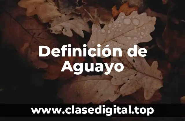 Definición de Aguayo