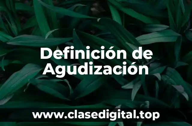 Definición de Agudización