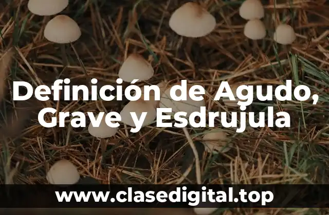Definición de Agudo, Grave y Esdrujula