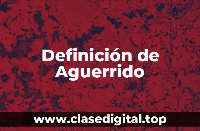 Definición de Aguerrido