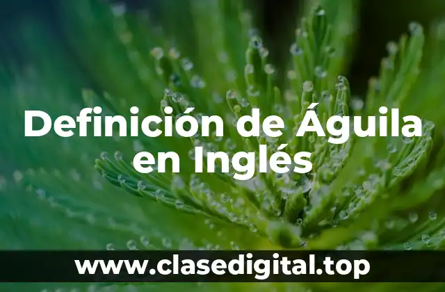 Definición de Águila en Inglés
