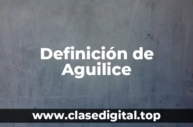 Definición de Aguilice