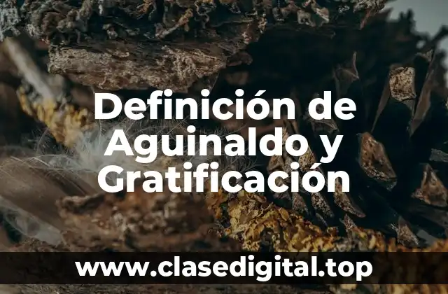 Definición de Aguinaldo y Gratificación
