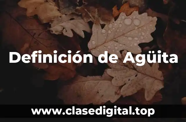 Definición de Agüita