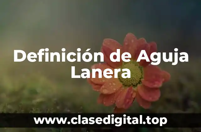 Definición de Aguja Lanera