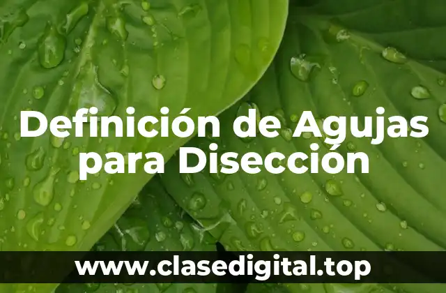 Definición de Agujas para Disección