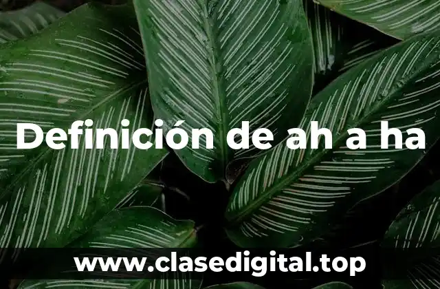 Definición de ah a ha